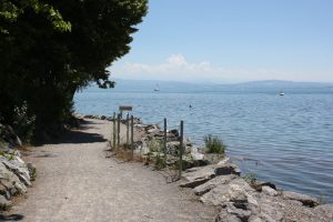 Uferweg Friedrichshafen Fischbach